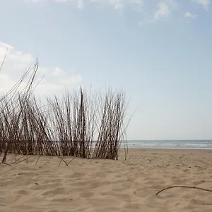 https://apartamentos-la-fabrica-barbate.es-andalucia.com